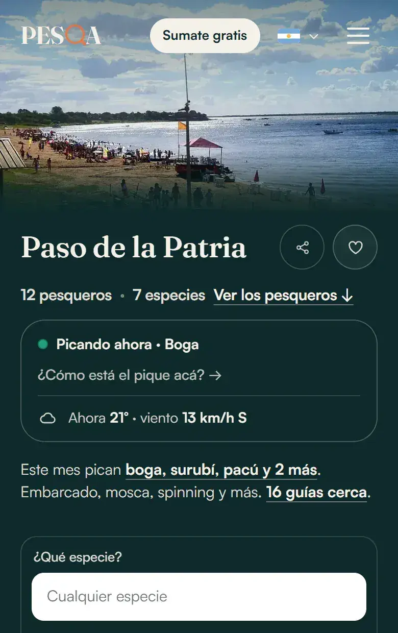The Paso de la Patria page on pesqa.ar on a phone: what’s biting right now, today’s weather and the guides nearby.