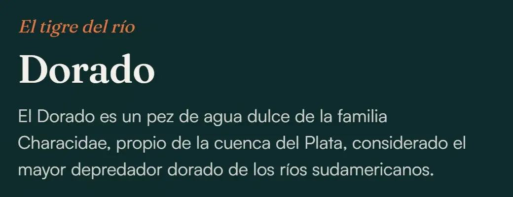 La ficha del dorado en pesqa.ar: “El tigre del río” y “Dorado” en Fraunces, y la descripción del pez en Satoshi.