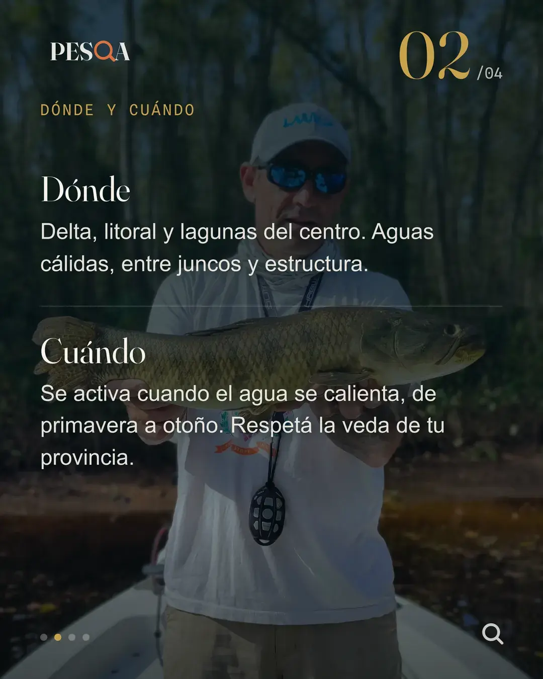 La segunda imagen: dónde y cuándo se pesca la tararira, sobre la foto de un pescador en la lancha.