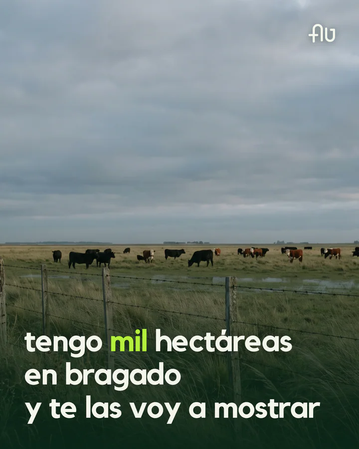 Post by Bajos del Bragado: A thousand hectares in Bragado, as told by the farm’s producer