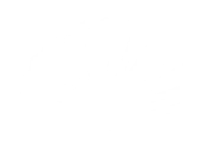 Donosti symbol in white, on petrol
