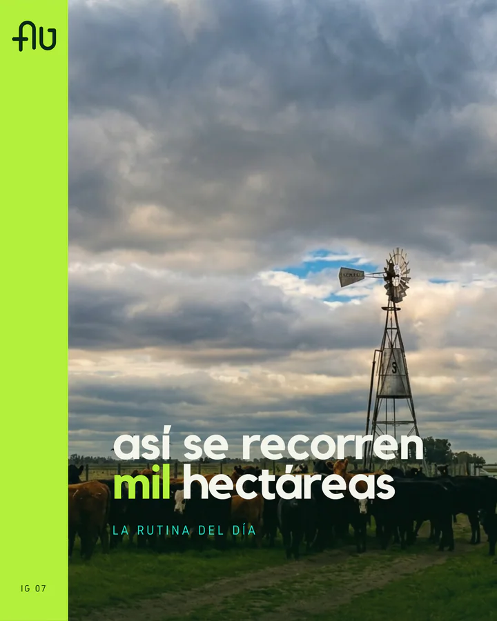Cover of the reel “This is how you cover a thousand hectares”