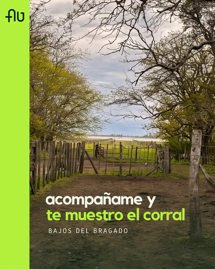 Cover of the reel “Come with me: inside the corral”